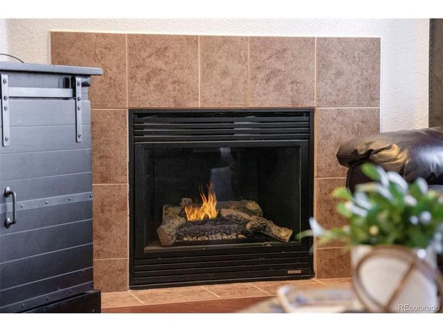 10751 Twenty Mile Rd 206, Parker, CO 80134