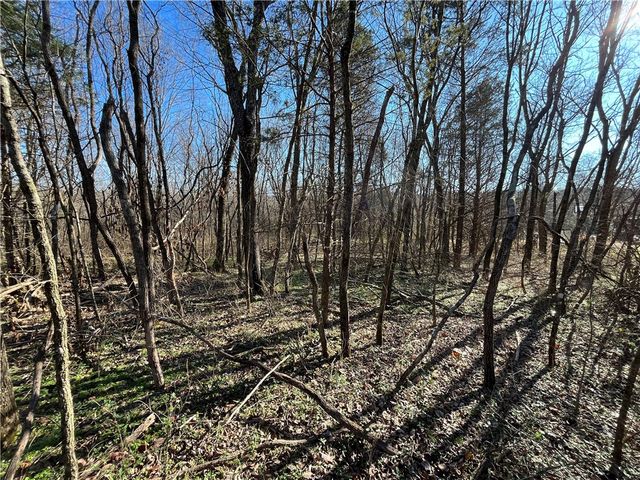 Lot 19, Block 1 Oniell Circle, Bella Vista, AR 72715