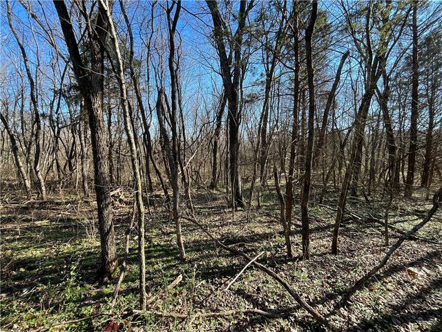 Lot 19, Block 1 Oniell Circle, Bella Vista, AR 72715