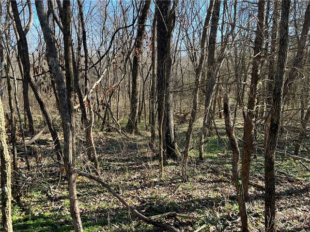 Lot 19, Block 1 Oniell Circle, Bella Vista, AR 72715