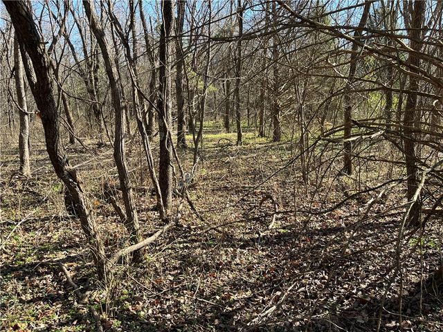 Lot 19, Block 1 Oniell Circle, Bella Vista, AR 72715