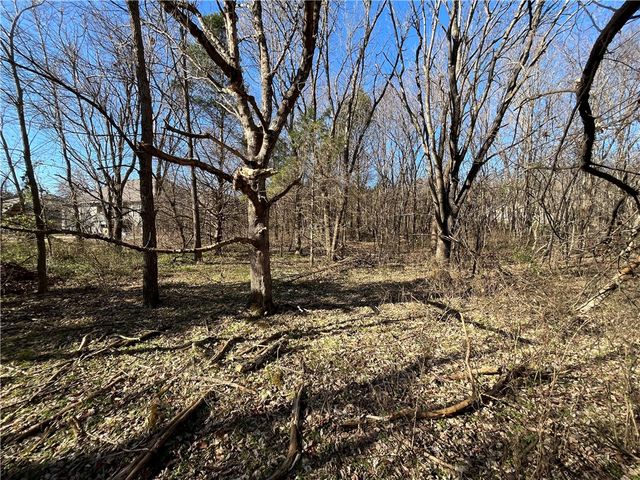 Lot 19, Block 1 Oniell Circle, Bella Vista, AR 72715