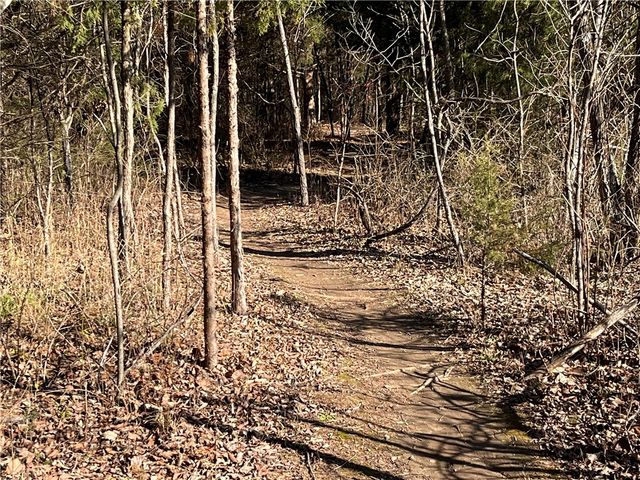 Lot 19, Block 1 Oniell Circle, Bella Vista, AR 72715