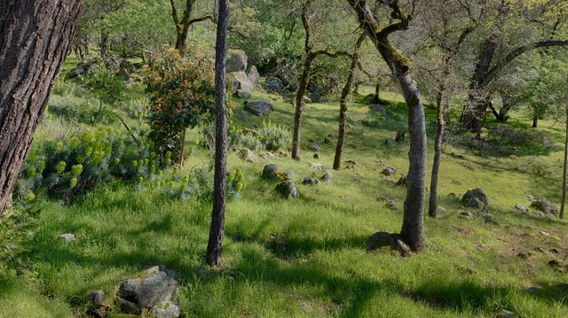 14580 Mcelroy Rd, Auburn, CA 95602