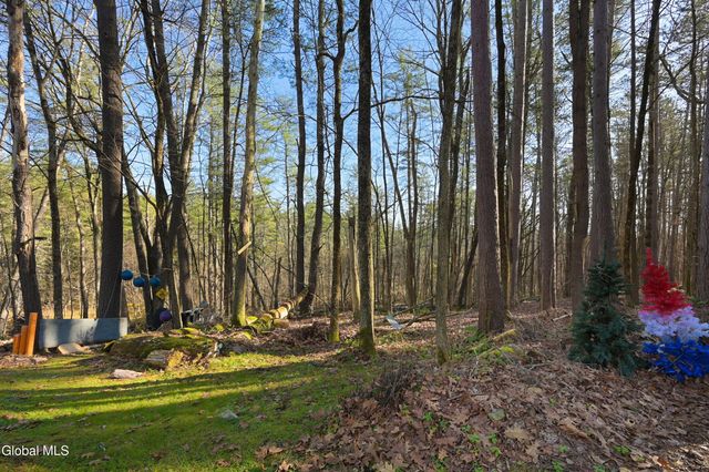 120 Rod And Gun Club Road, Unadilla, NY 13849