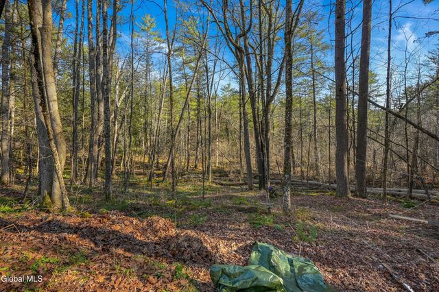 120 Rod And Gun Club Road, Unadilla, NY 13849