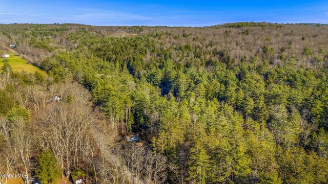 120 Rod And Gun Club Road, Unadilla, NY 13849