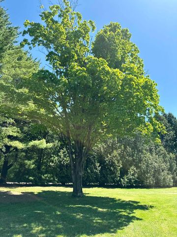 77 Lynrick Acres Road, Charlotte, VT 05445