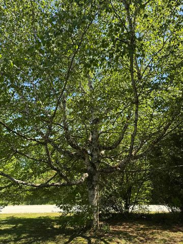 77 Lynrick Acres Road, Charlotte, VT 05445