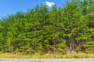742 White Dogwood Drive, Newport, TN 37821