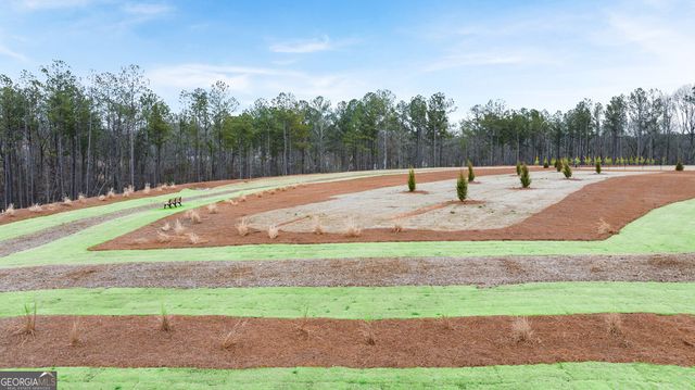 266 Sound Circle, Stockbridge, GA 30281