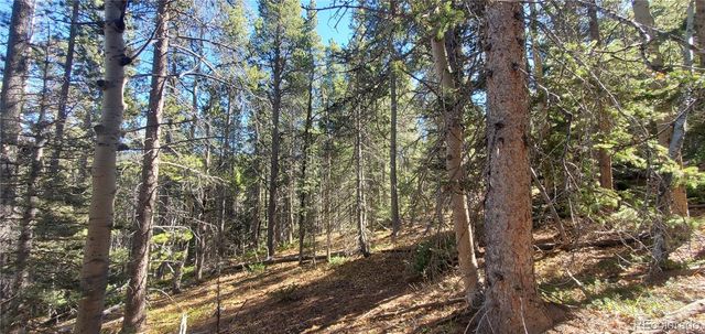 Lot 3023 & 3024 Bolwell Lane, Fort Garland, CO 81133