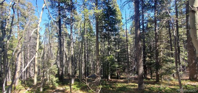 Lot 3023 & 3024 Bolwell Lane, Fort Garland, CO 81133