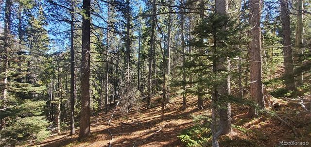 Lot 3023 & 3024 Bolwell Lane, Fort Garland, CO 81133