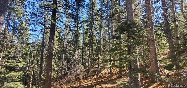 Lot 3023 & 3024 Bolwell Lane, Fort Garland, CO 81133