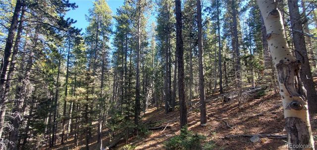 Lot 3023 & 3024 Bolwell Lane, Fort Garland, CO 81133