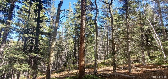 Lot 3023 & 3024 Bolwell Lane, Fort Garland, CO 81133