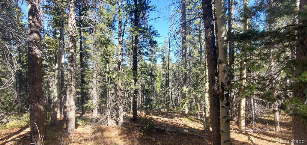 Lot 3023 & 3024 Bolwell Lane, Fort Garland, CO 81133