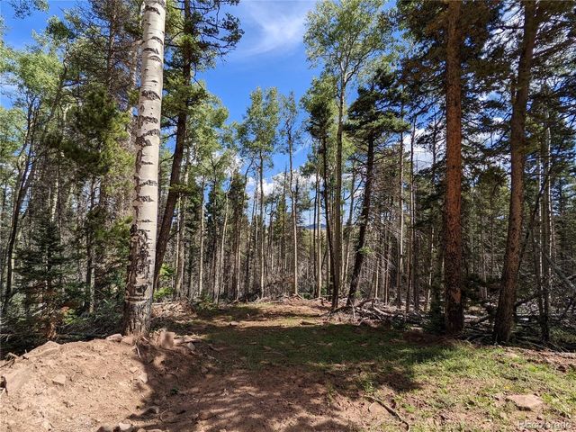 2379 Larry Pl, Fort Garland, CO 81133