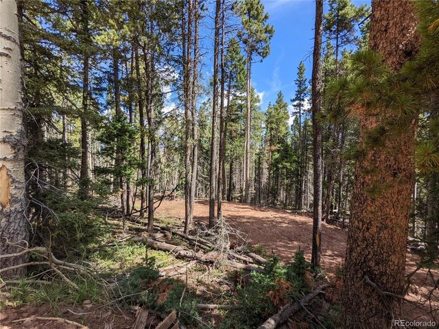 2379 Larry Pl, Fort Garland, CO 81133