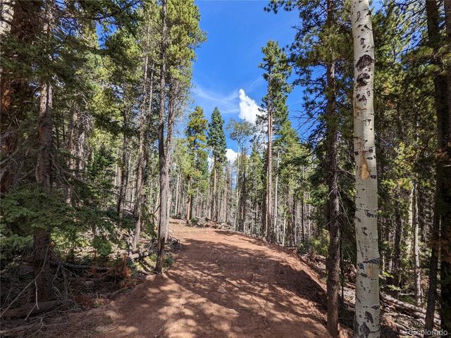 2379 Larry Pl, Fort Garland, CO 81133