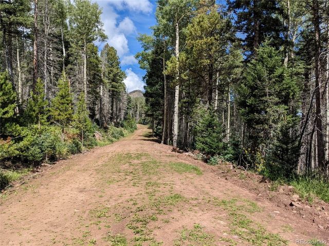 2379 Larry Pl, Fort Garland, CO 81133