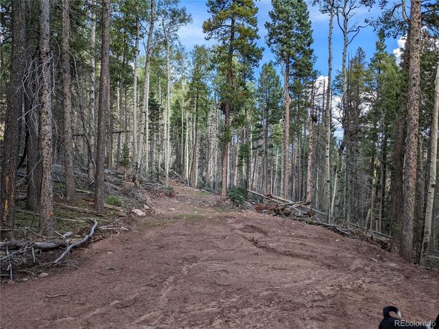 2379 Larry Pl, Fort Garland, CO 81133