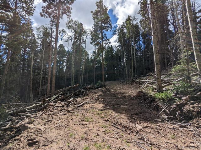 2379 Larry Pl, Fort Garland, CO 81133