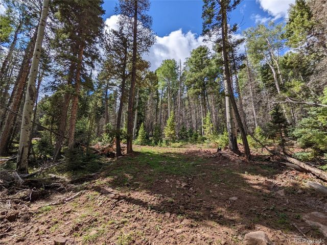 2379 Larry Pl, Fort Garland, CO 81133