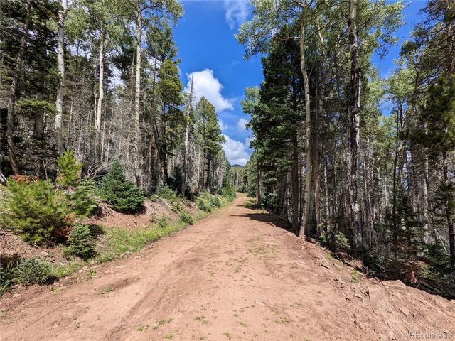 2379 Larry Pl, Fort Garland, CO 81133