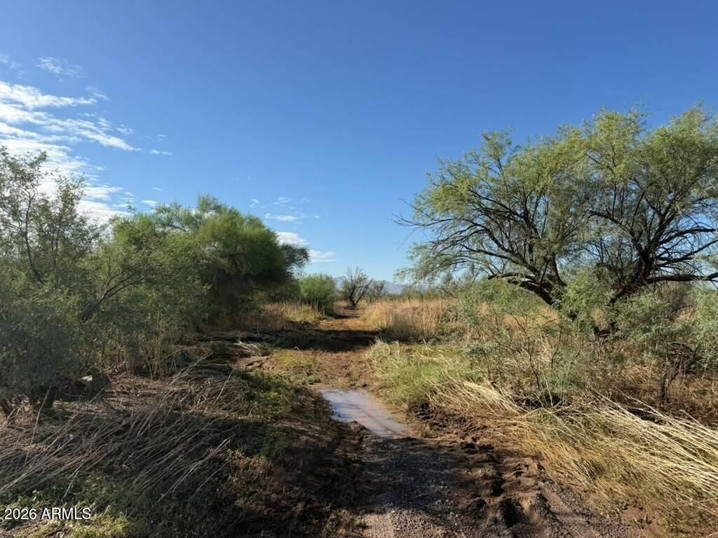 28xxx N 235th Avenue -, Wittmann, AZ 85361 — photo 5