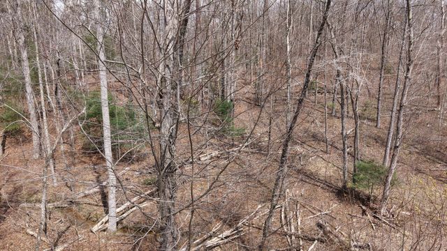 0 Lantana Firetower Rd, Crossville, TN 38572