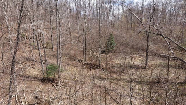 0 Lantana Firetower Rd, Crossville, TN 38572