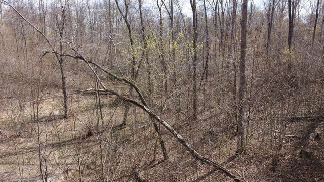 0 Lantana Firetower Rd, Crossville, TN 38572