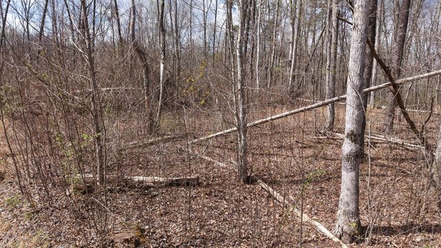 0 Lantana Firetower Rd, Crossville, TN 38572