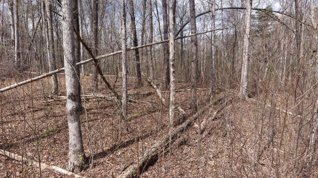 0 Lantana Firetower Rd, Crossville, TN 38572