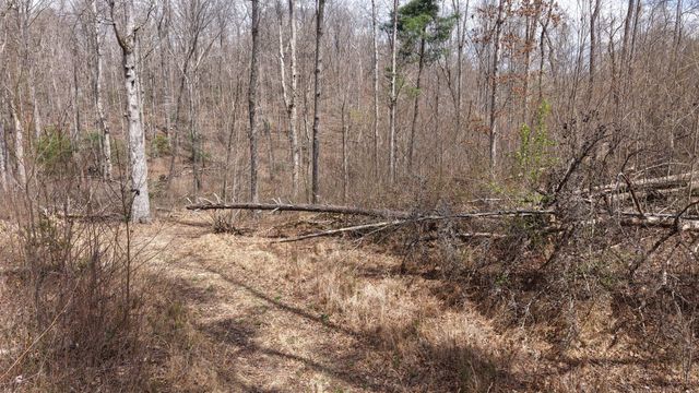 0 Lantana Firetower Rd, Crossville, TN 38572