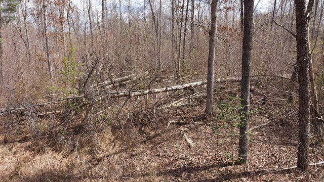 0 Lantana Firetower Rd, Crossville, TN 38572