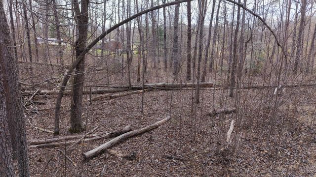 0 Lantana Firetower Rd, Crossville, TN 38572