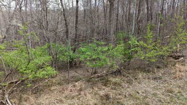 0 Lantana Firetower Rd, Crossville, TN 38572