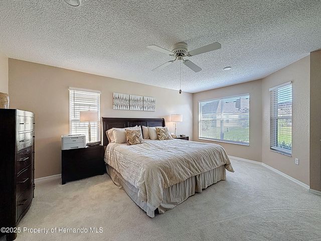 9328 Apple Dompling Court, Weeki Wachee, FL 34613