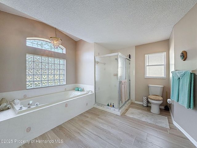 9328 Apple Dompling Court, Weeki Wachee, FL 34613