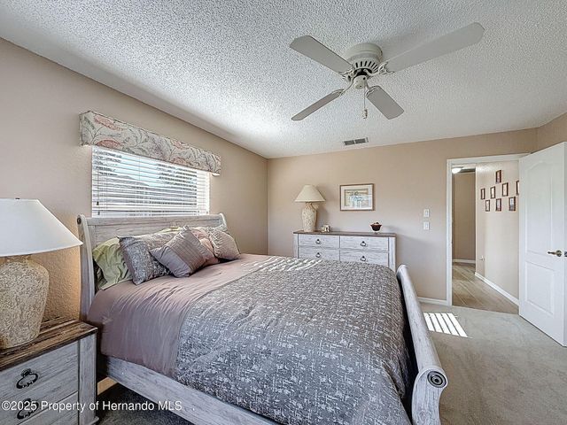 9328 Apple Dompling Court, Weeki Wachee, FL 34613