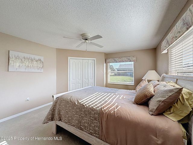 9328 Apple Dompling Court, Weeki Wachee, FL 34613