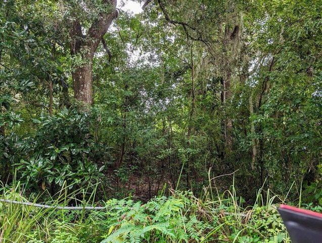 25130 NE 132ND LANE, Salt Springs, FL 32134