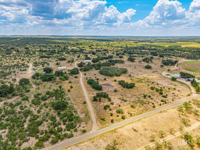 6343 County Rd 101, Mertzon, TX 76941