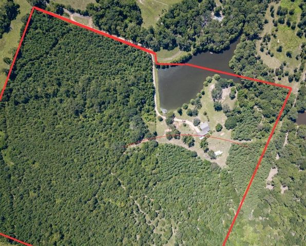 7686 Gopher Rd, Gilmer, TX 75644