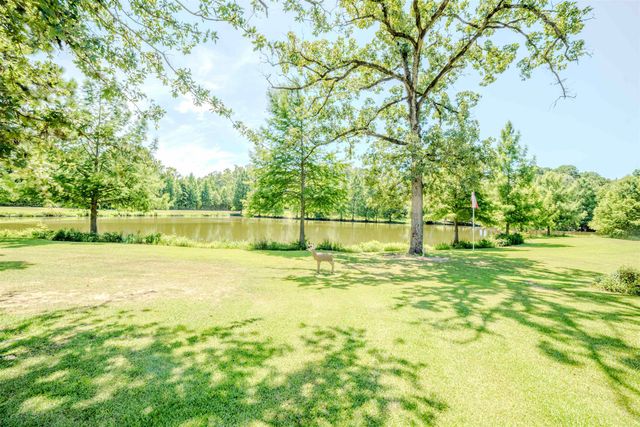 7686 Gopher Rd, Gilmer, TX 75644
