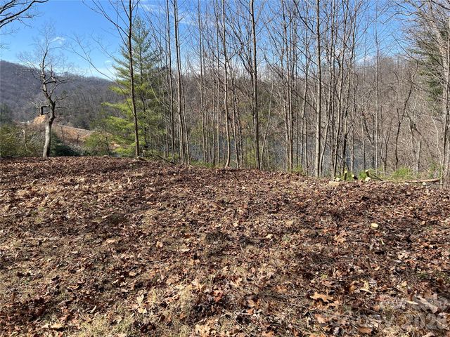 134 Dars Lane 7, Tuckasegee, NC 28783