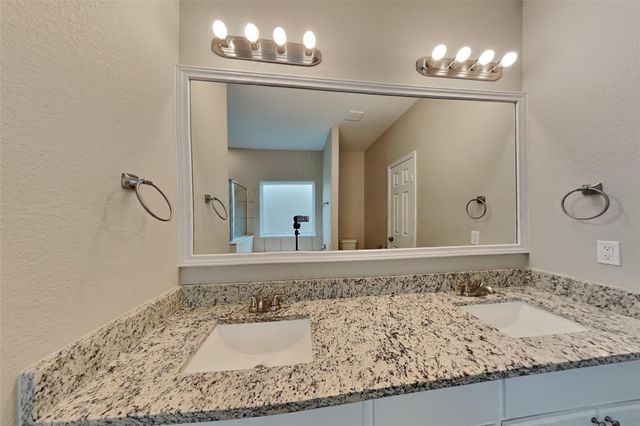 29438 Graceful Path Way, Spring, TX 77386